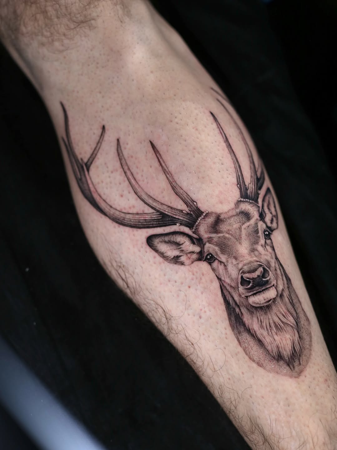 Tattoo by @stevefranciosa.tattoos — realism, black_and_grey