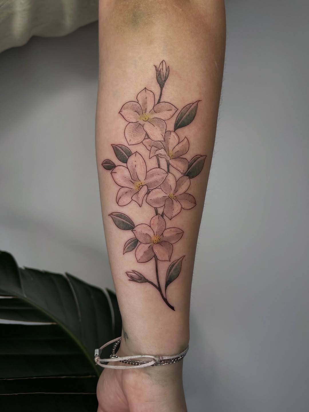 Tattoo by @nicol.ink_ — fine_line, black_and_grey