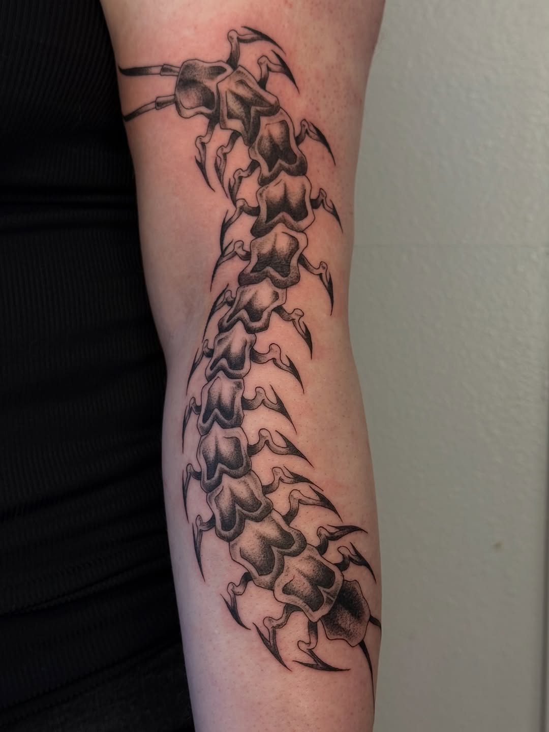 Tattoo by @chaotictattoo — blackwork, illustrative