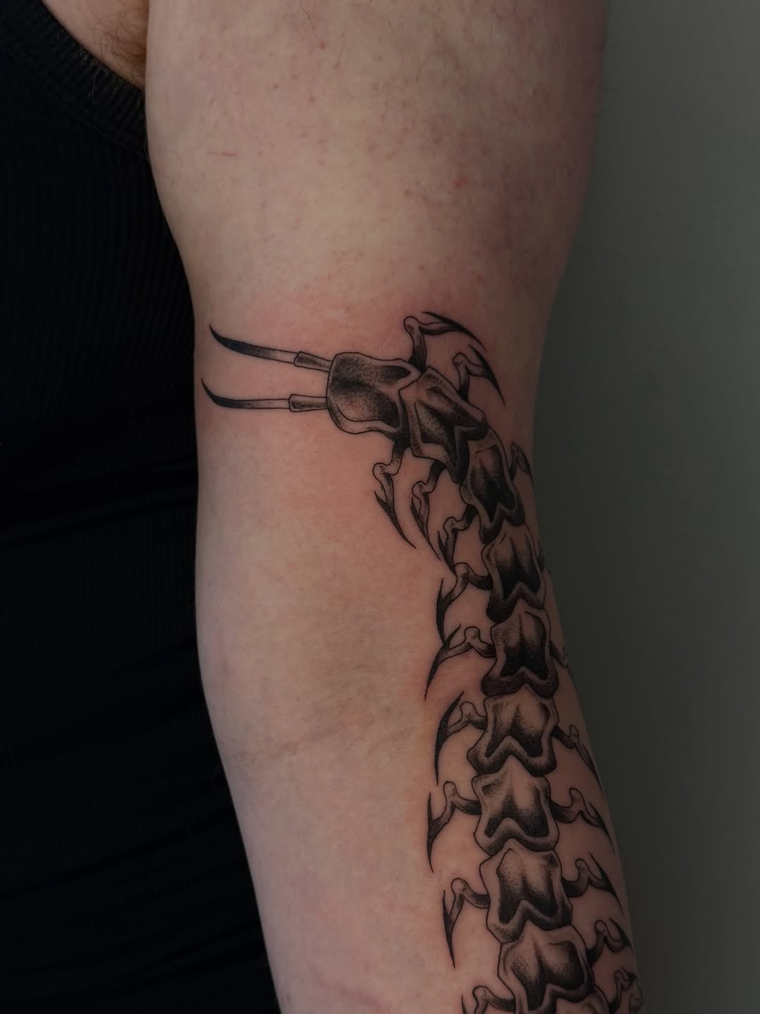 Tattoo by @chaotictattoo — illustrative, black_and_grey