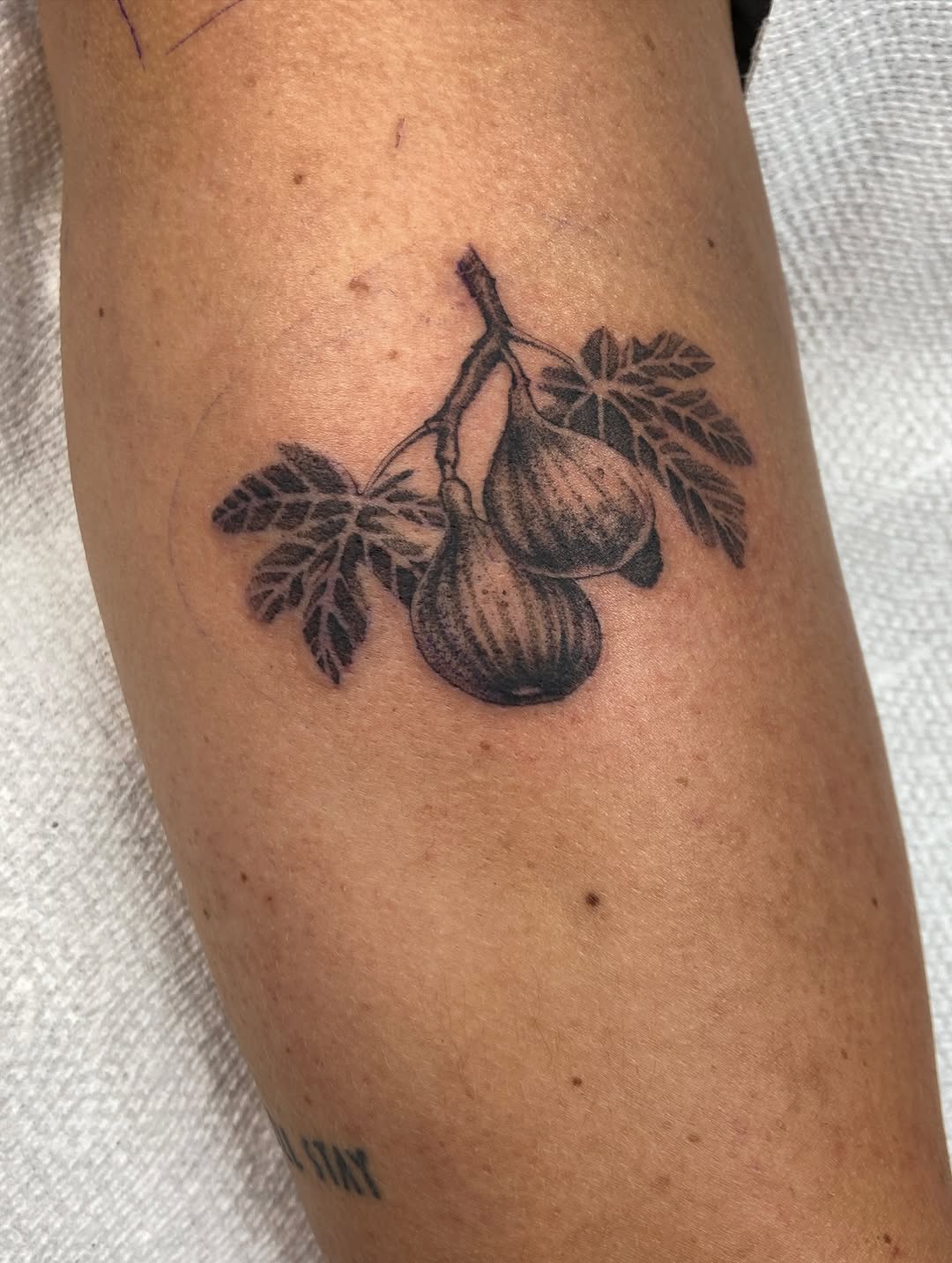 Tattoo by @blairrydell โ black_and_grey, realism