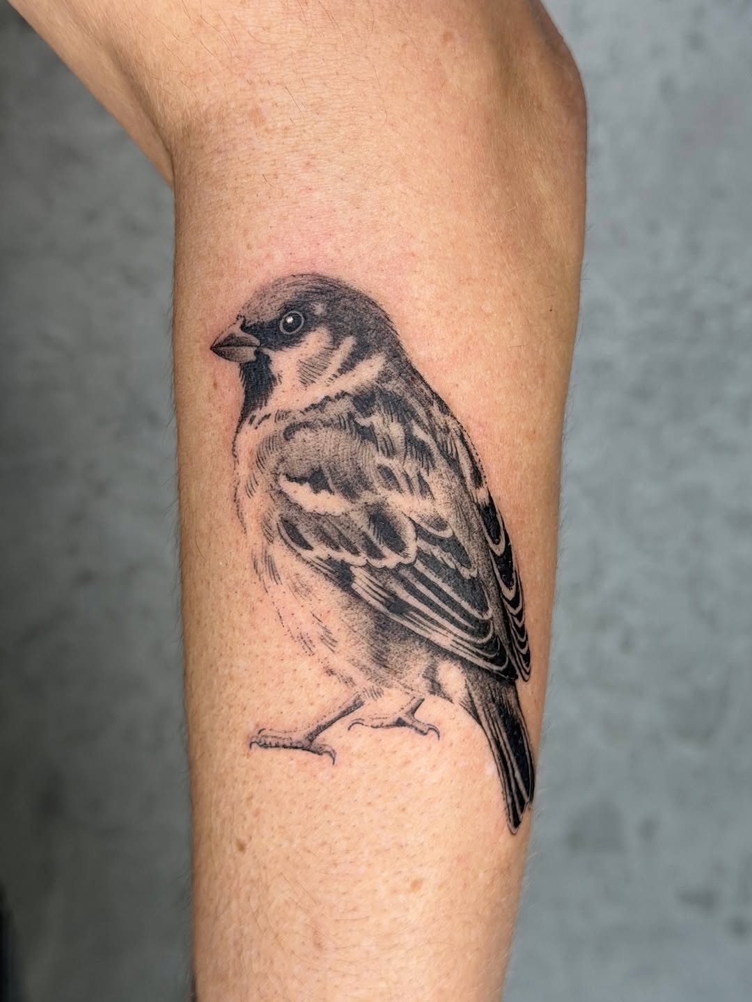 Tattoo by @enjolieart — realism, black_and_grey
