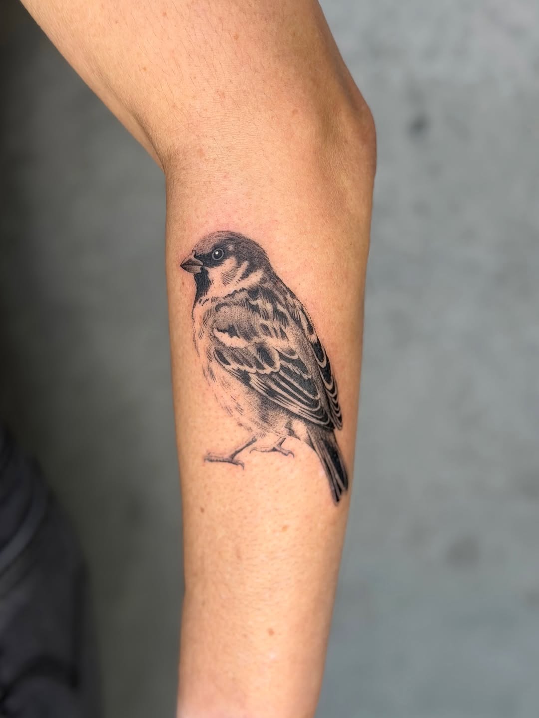 Tattoo by @enjolieart — realism, black_and_grey