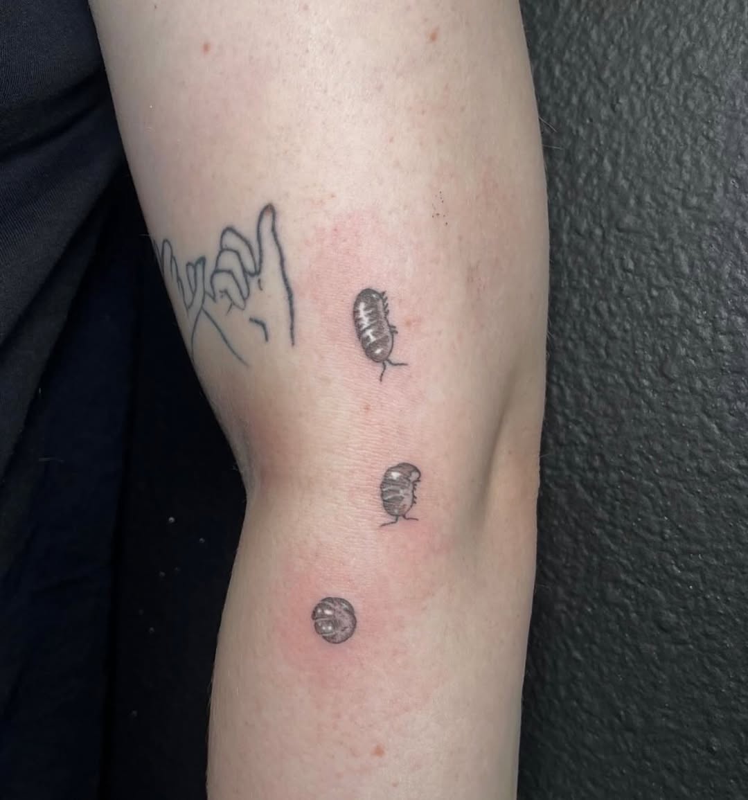 Tattoo by @sin_sidney_tatts — illustrative, fine_line