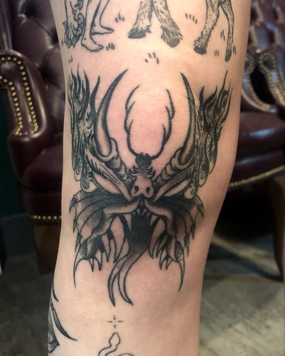 Tattoo by @aidabtattoo — black_and_grey, neo_traditional