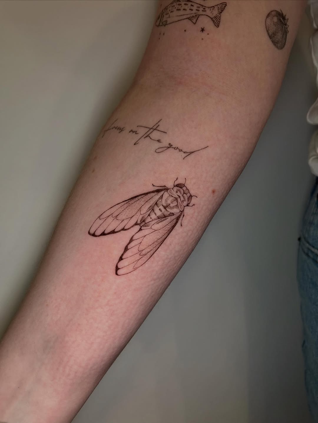 Tattoo by @mae.tattoo — fine_line, illustrative