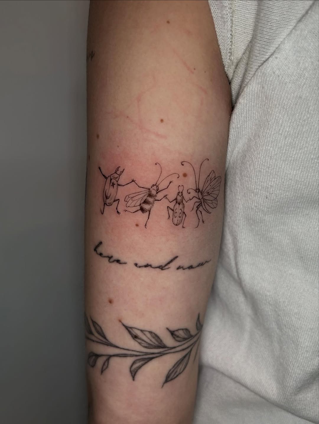 Tattoo by @mae.tattoo — illustrative, fine_line