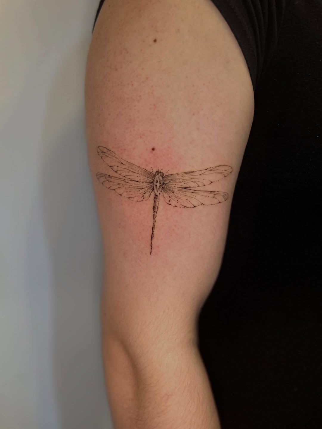 Tattoo by @mae.tattoo — fine_line, illustrative