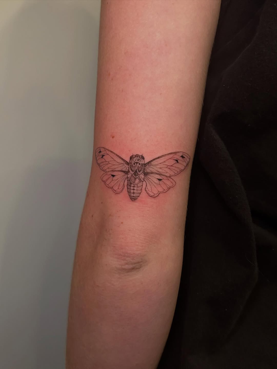 Tattoo by @mae.tattoo — fine_line, illustrative
