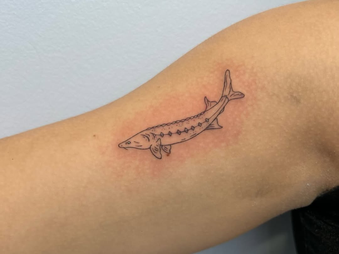 Tattoo by @chaotic__fern β fine_line