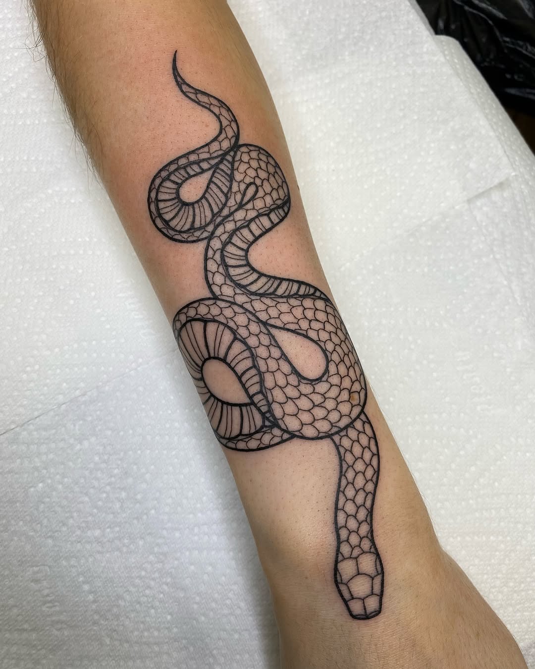 Tattoo by @courtneylloydtattoos — black_and_grey, fine_line