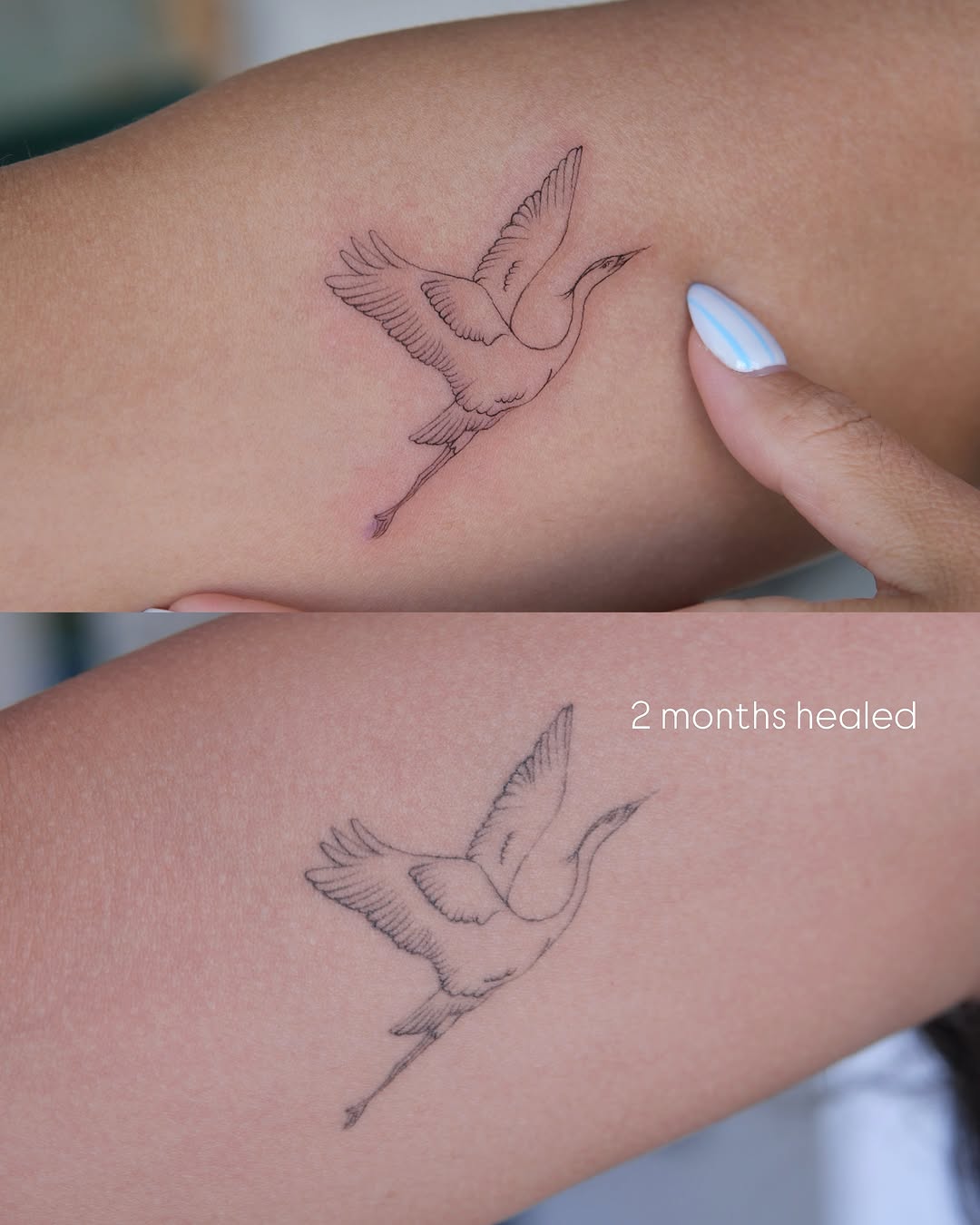 Tattoo by @goksu_ink — fine_line