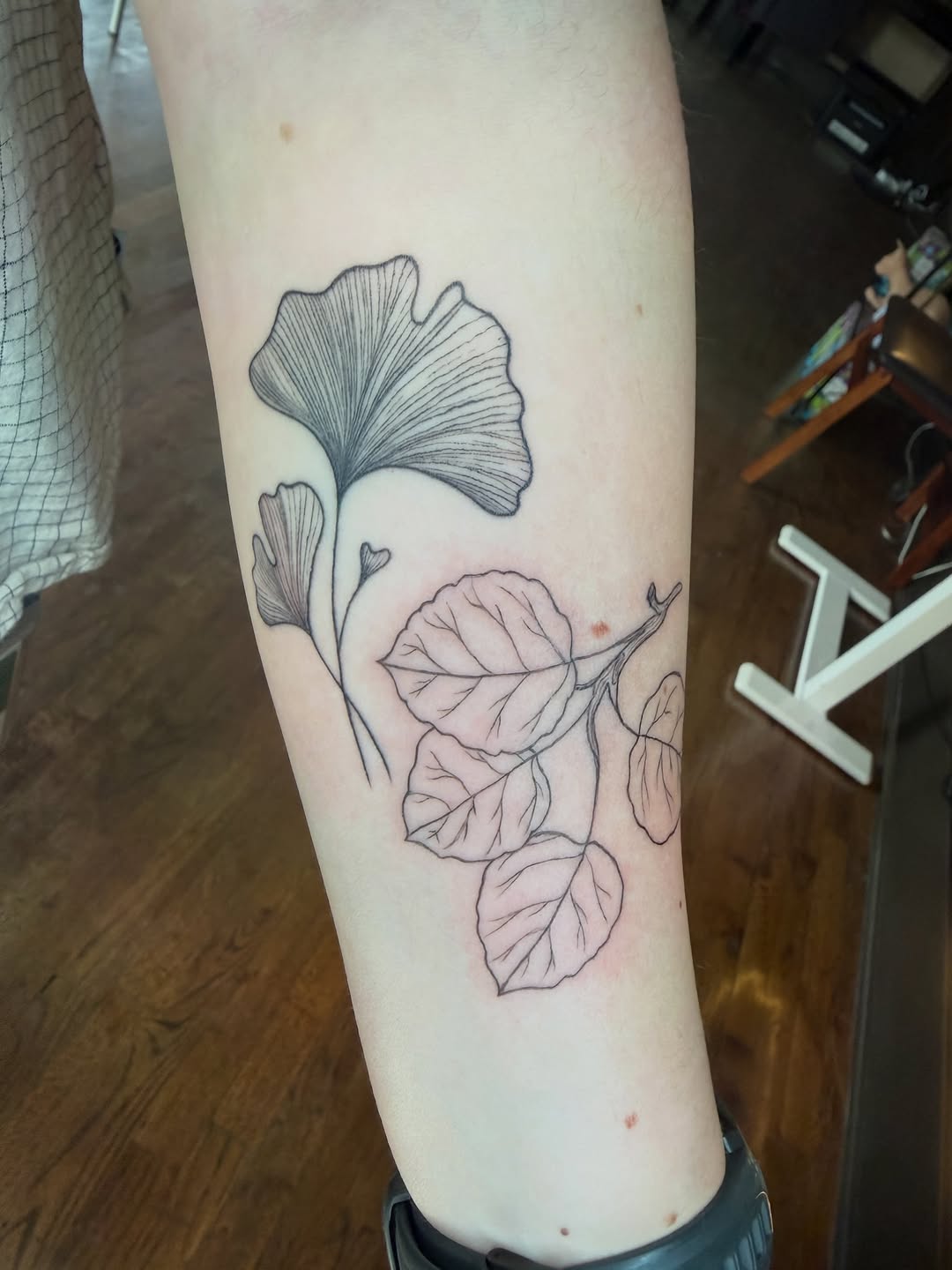 Tattoo by @honestbird — illustrative, fine_line