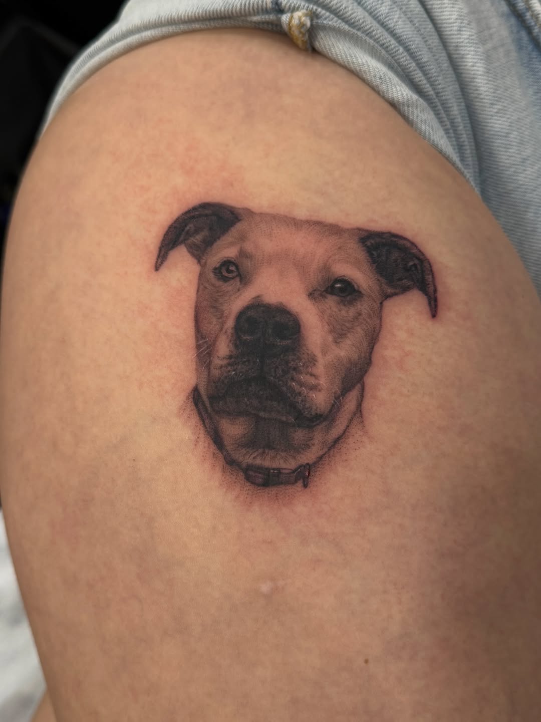 Tattoo by @miabacchi — realism, black_and_grey