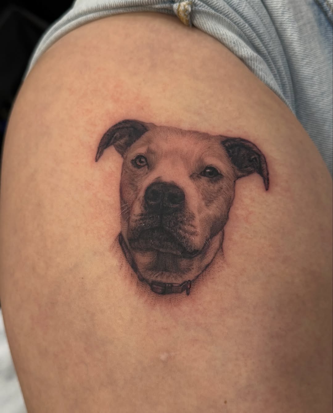 Tattoo by @miabacchi — realism, black_and_grey
