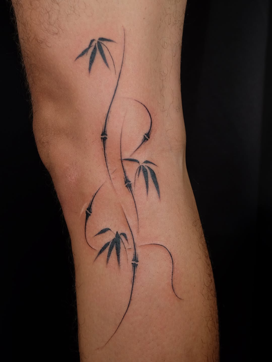 Tattoo by @baby.cleaver — fine_line, black_and_grey