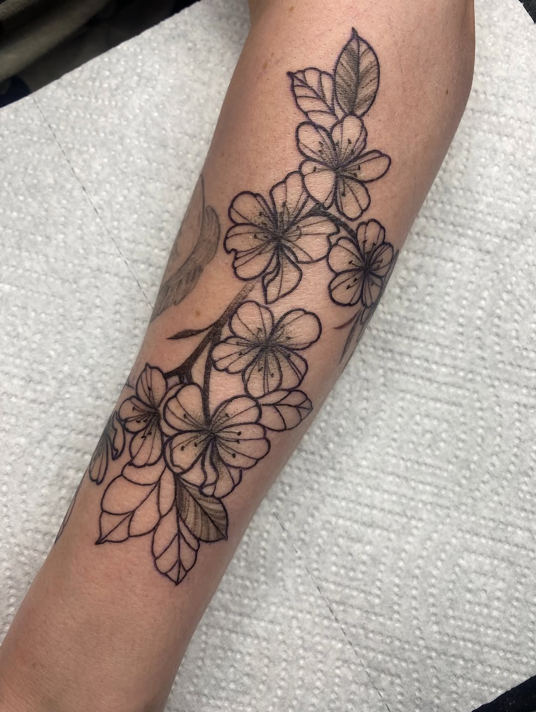 Tattoo by @krookedtattoos โ fine_line, black_and_grey