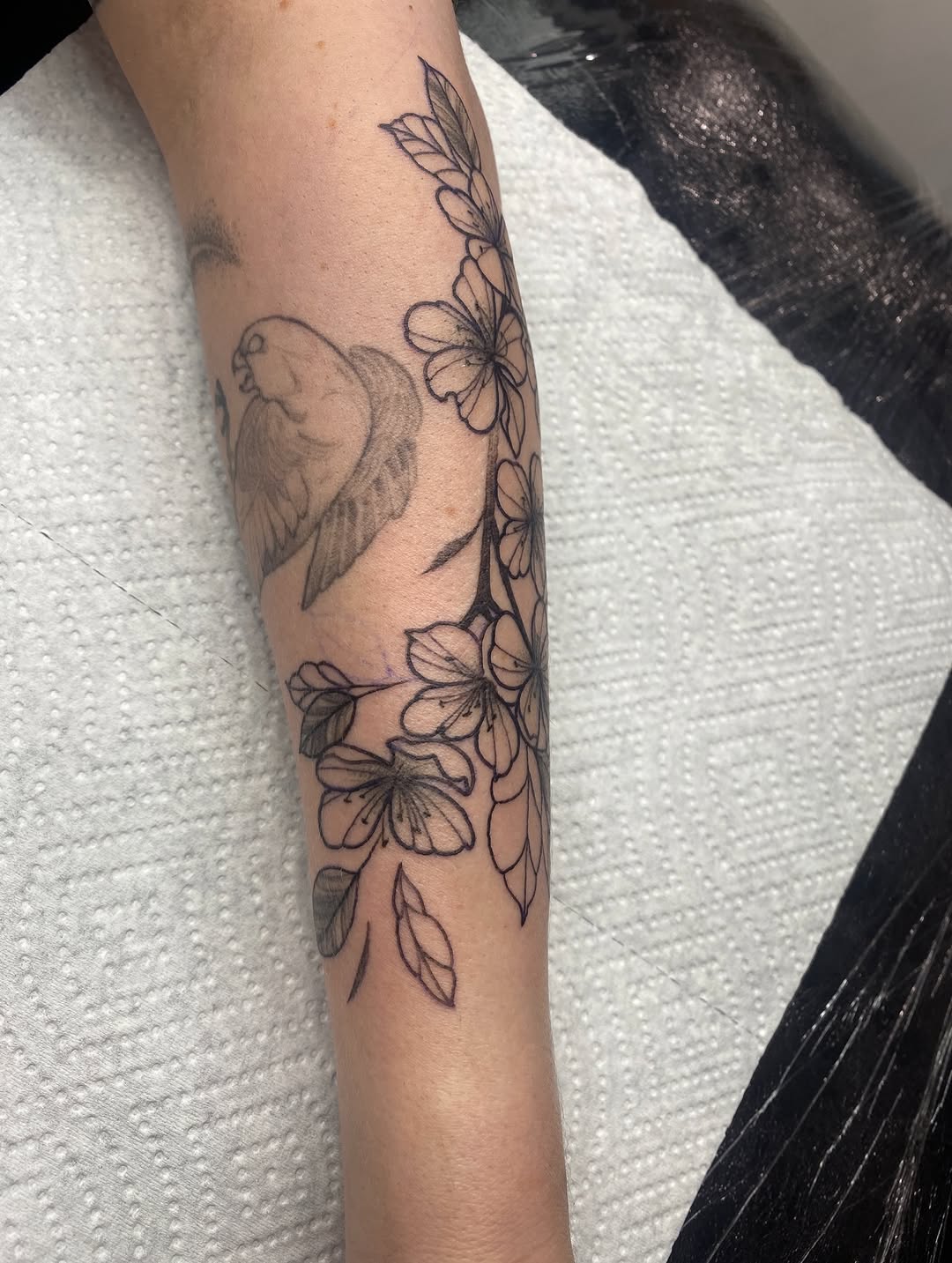 Tattoo by @krookedtattoos โ fine_line, black_and_grey