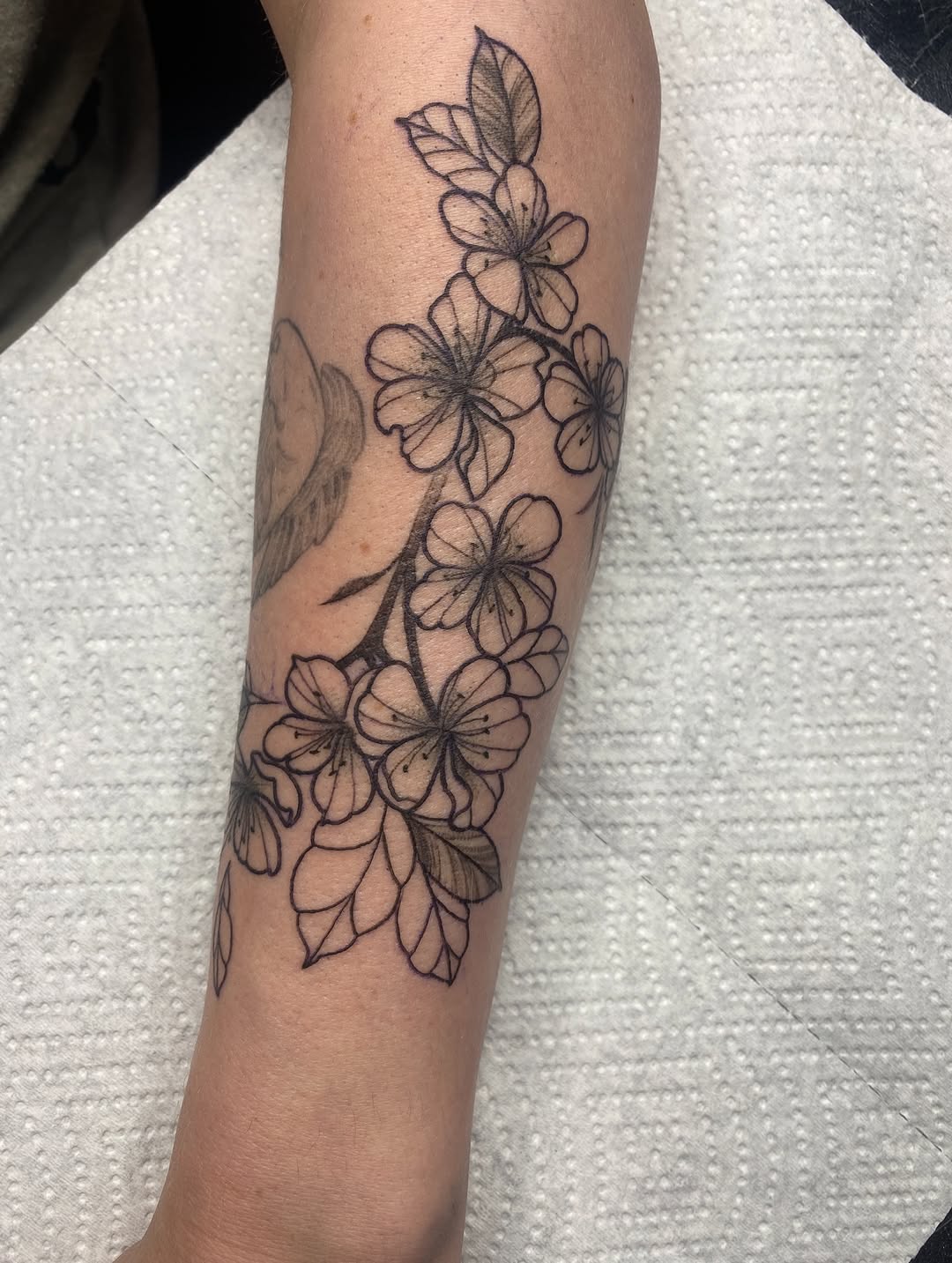 Tattoo by @krookedtattoos โ fine_line