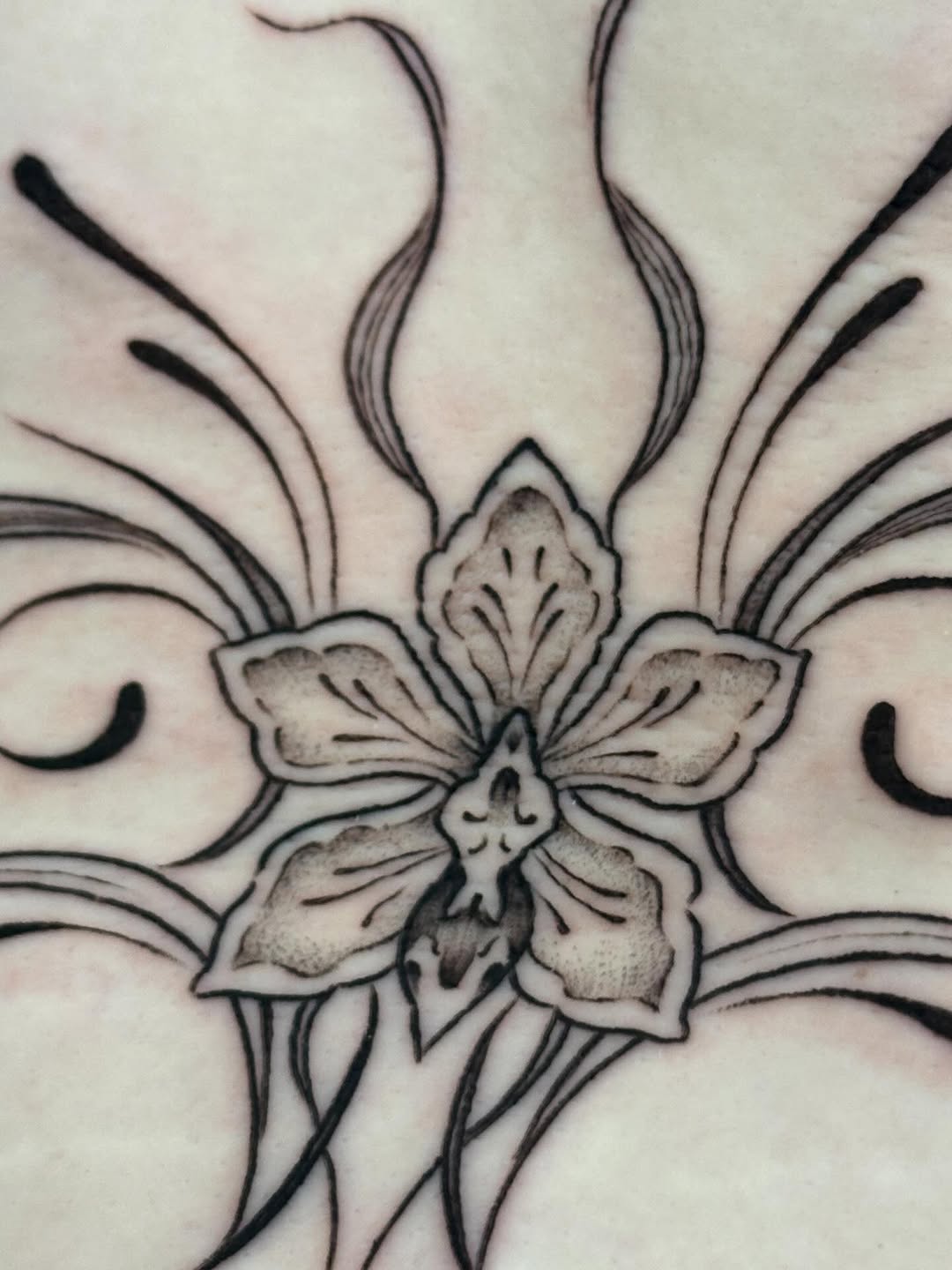 Tattoo by @honeylucktattoo — illustrative, black_and_grey