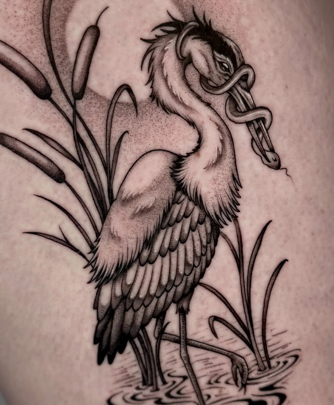 Tattoo by @kathrynsemusart — black_and_grey