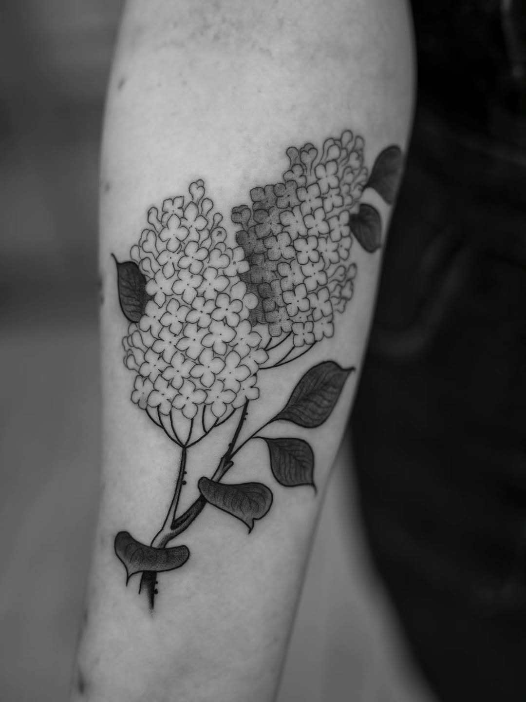 Tattoo by @bramadey — fine_line, black_and_grey
