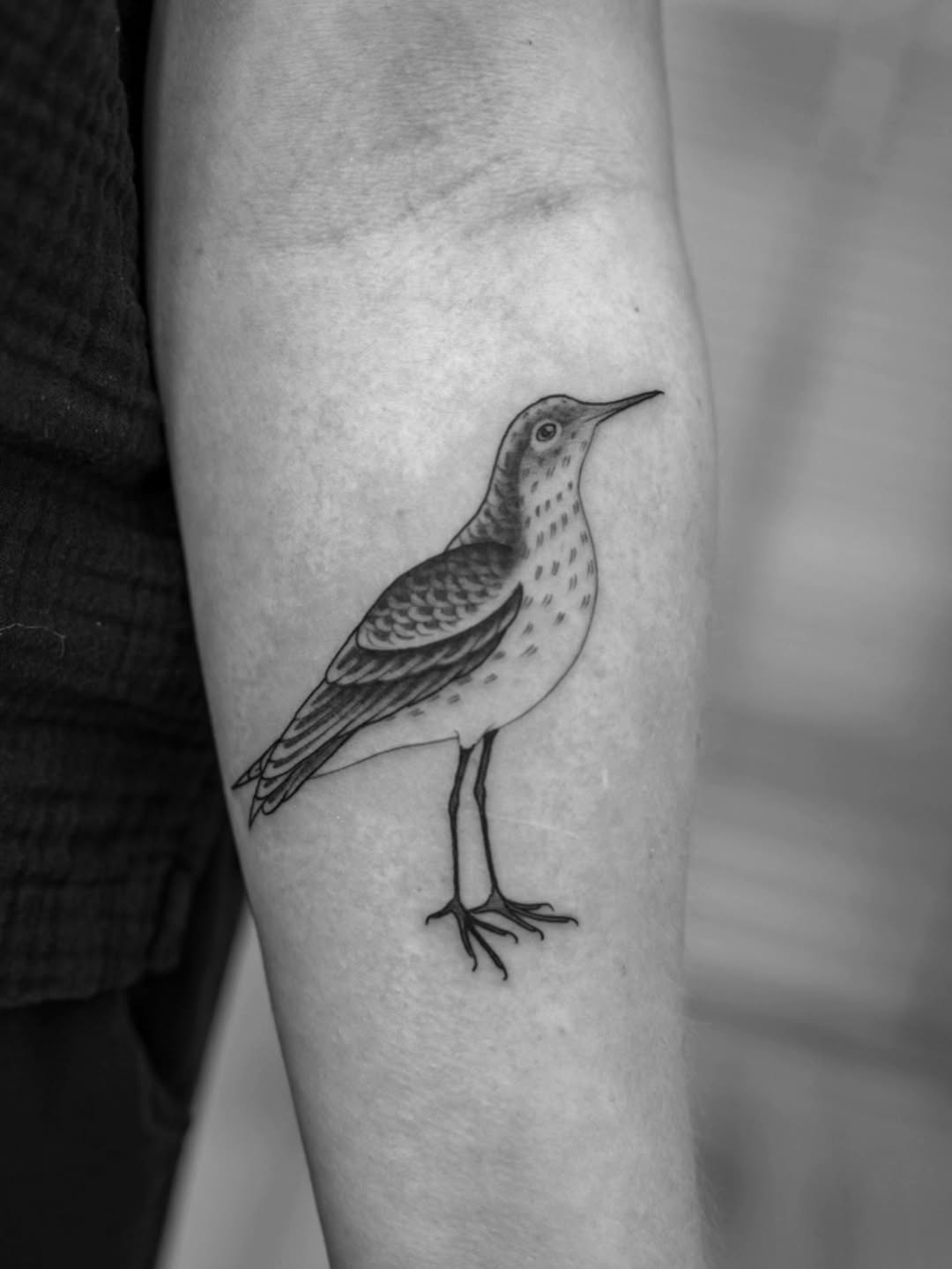 Tattoo by @bramadey — fine_line, black_and_grey