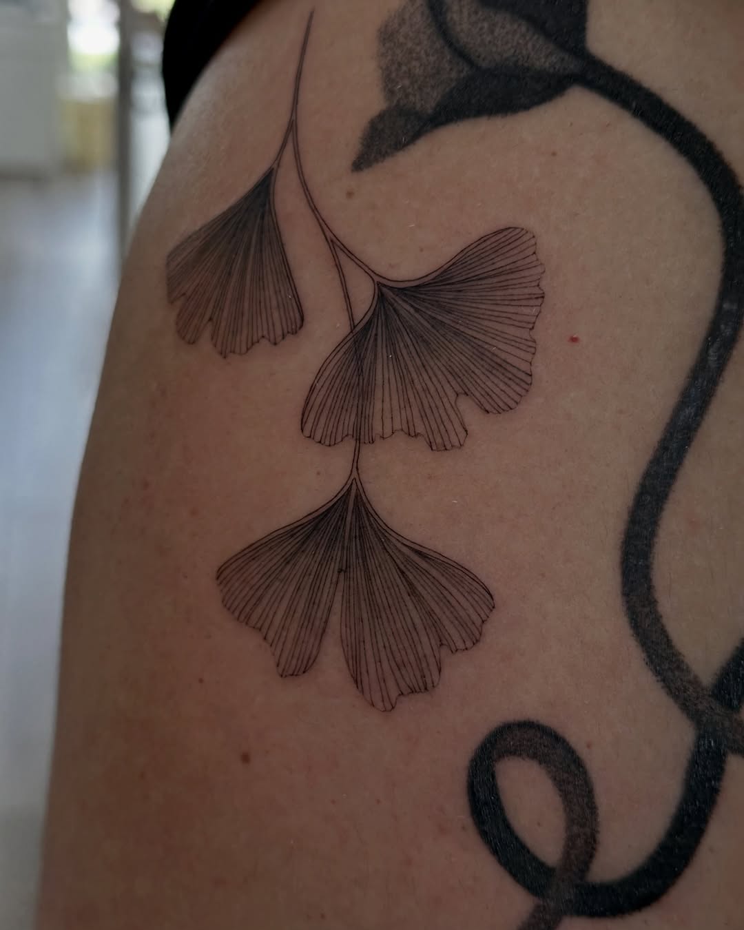 Tattoo by @heeyatattoo — fine_line, black_and_grey