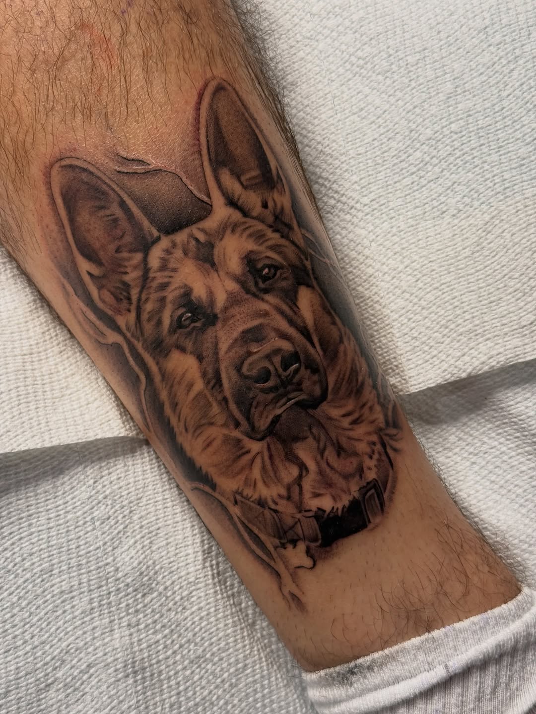 Tattoo by @stainlessneedle — realism, black_and_grey