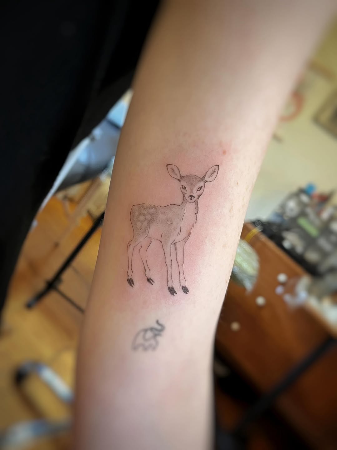 Tattoo by @bai.bai.bunni.tattoos — fine_line, illustrative