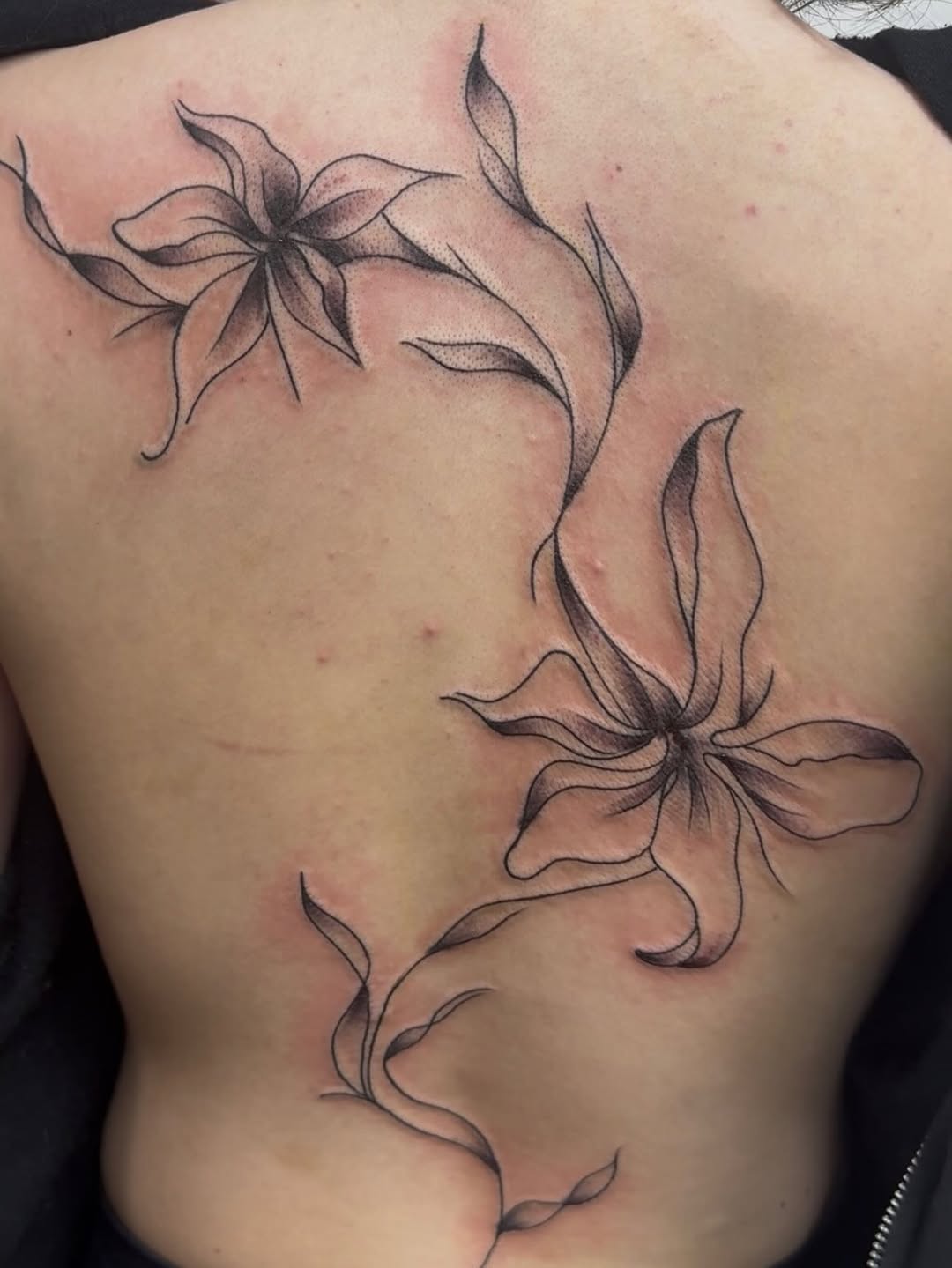 Tattoo by @markgalvan — fine_line, black_and_grey