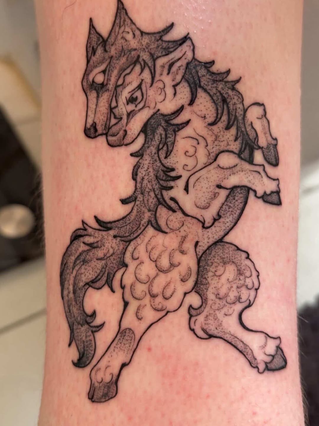 Tattoo by @cat.tatz — dotwork, black_and_grey