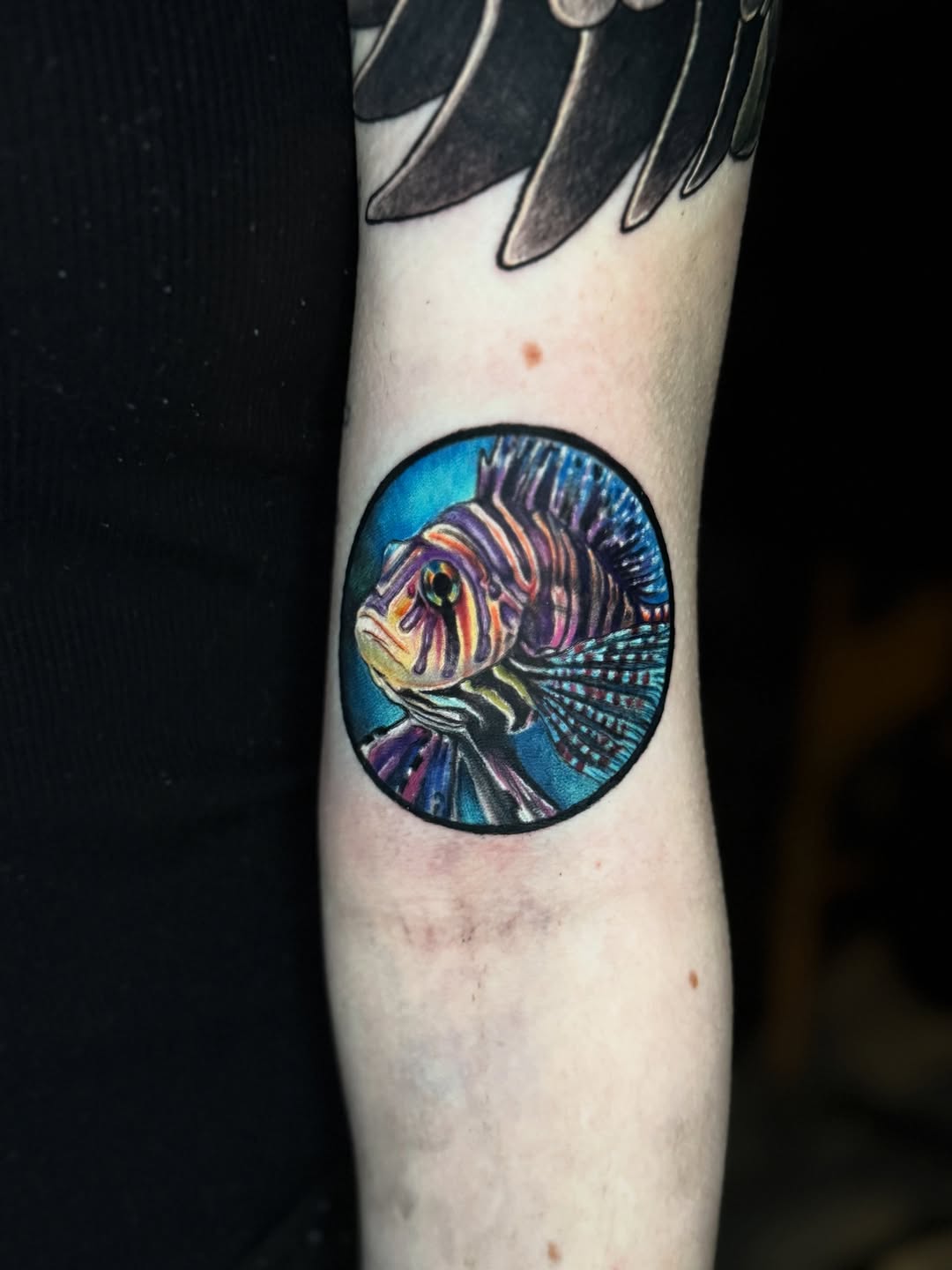 Tattoo by @inked_alex — realism, color