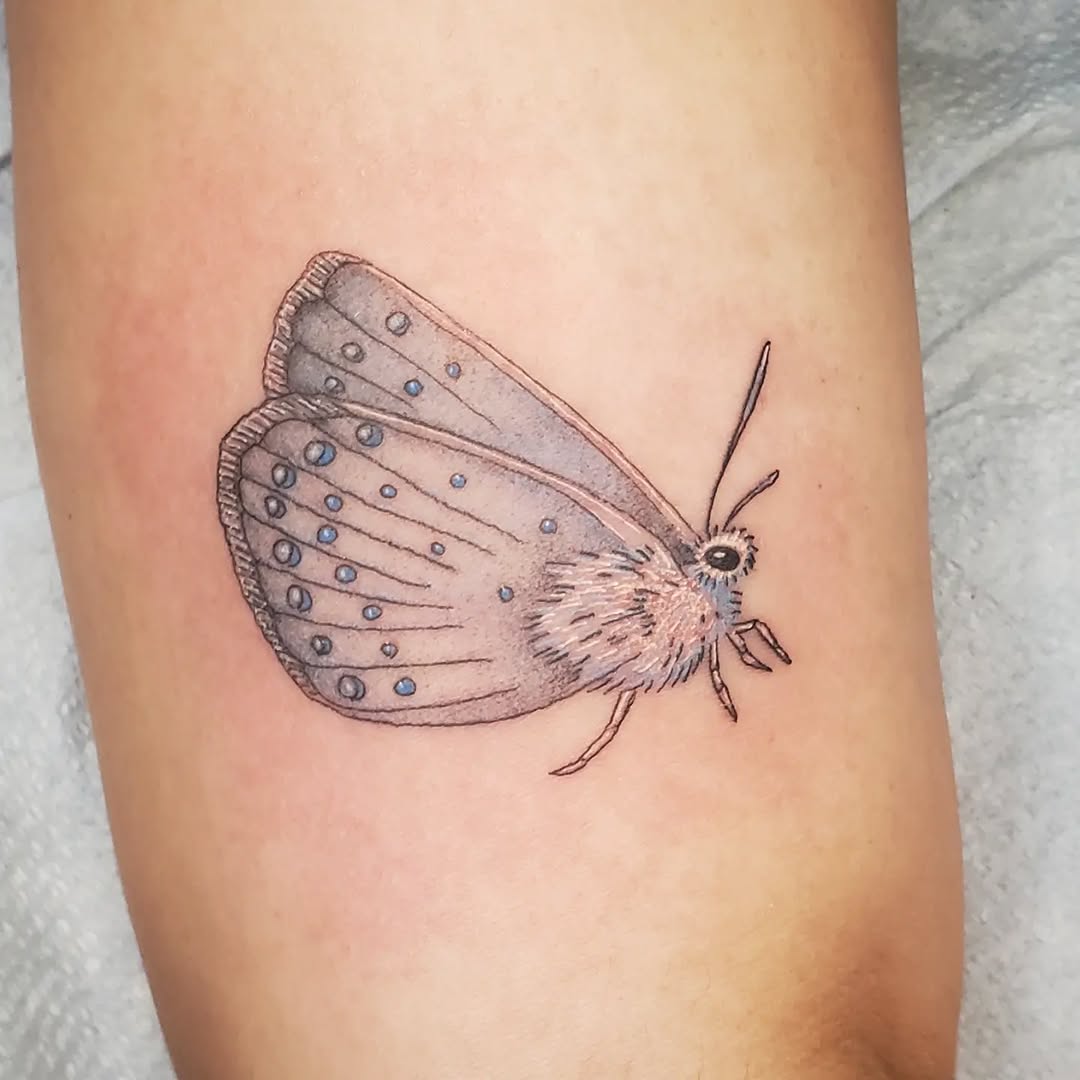 Tattoo by @chainveil.tattoo — realism, illustrative