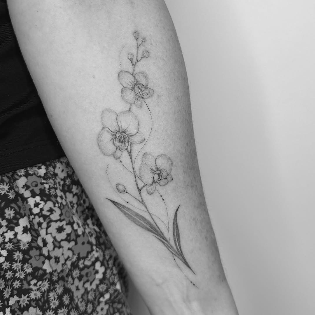 Tattoo by @wildhoneyartistry — fine_line, illustrative