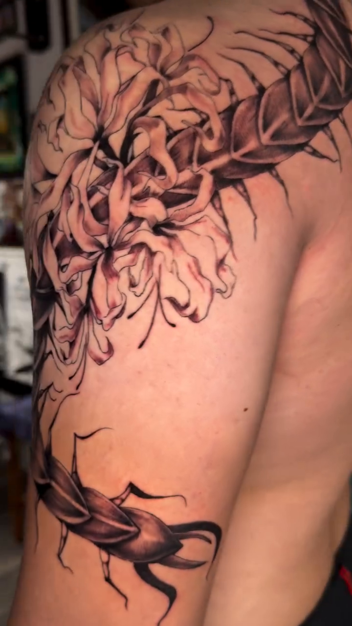 Tattoo by @anastrangebird — black_and_grey, realism
