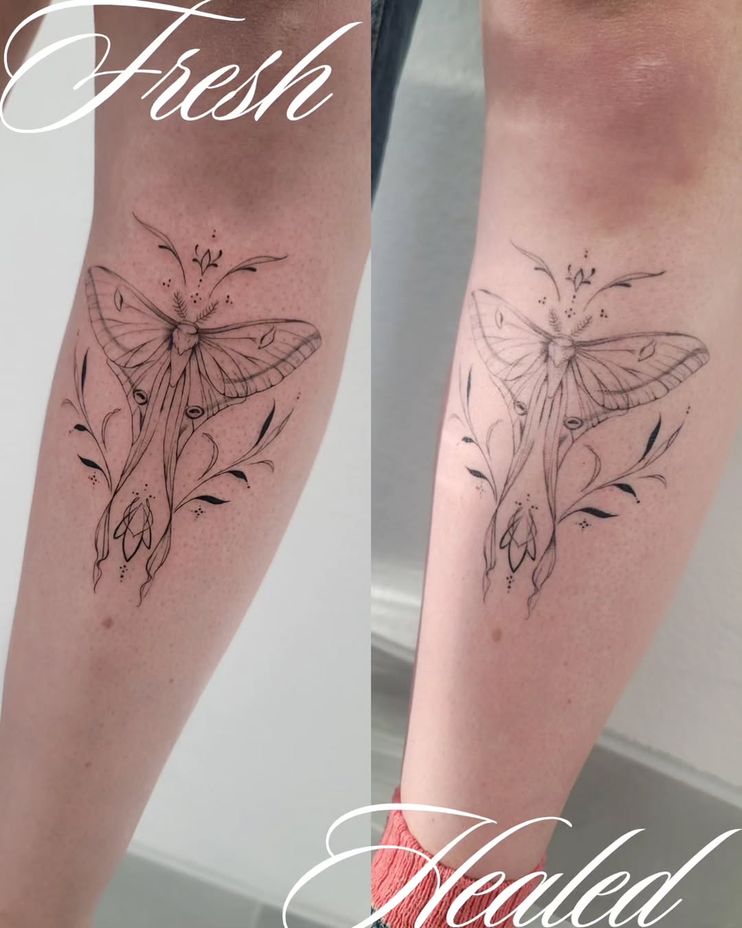 Tattoo by @christinaphungtattoos — fine_line, illustrative