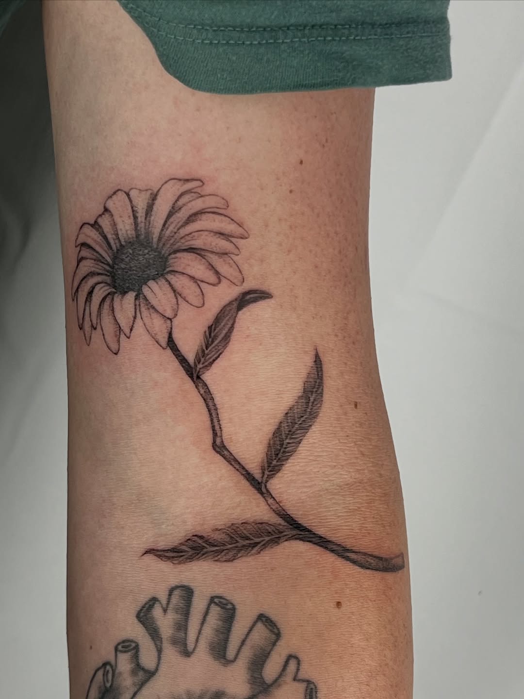 Tattoo by @tallis.andrea — fine_line, black_and_grey
