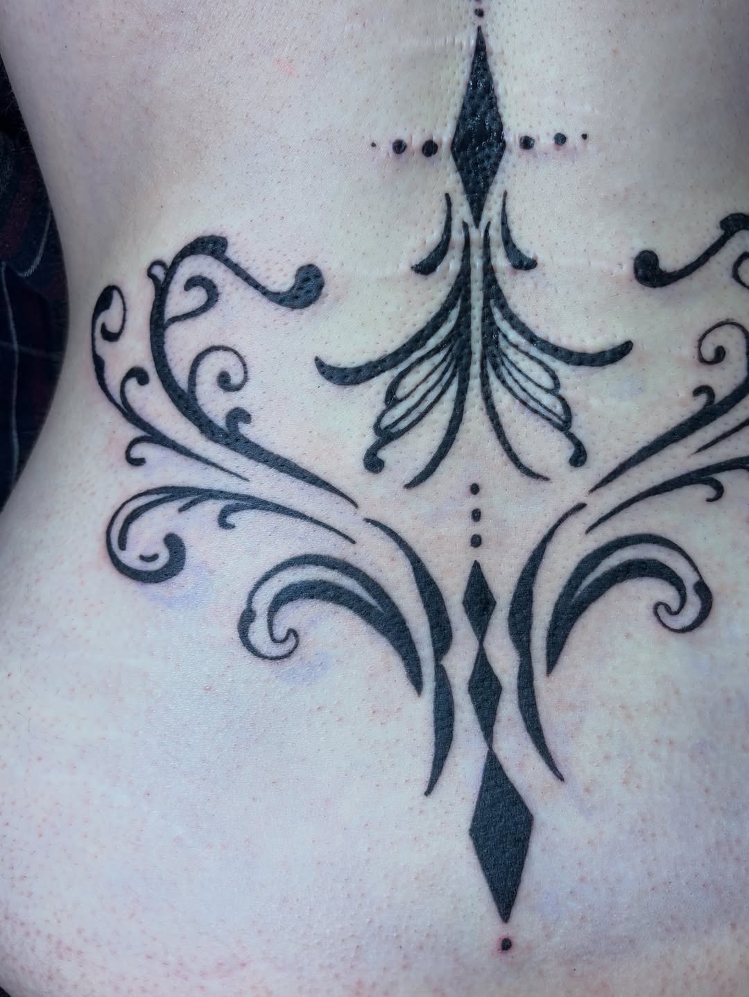 Tattoo by @mushypokes — ornamental, blackwork