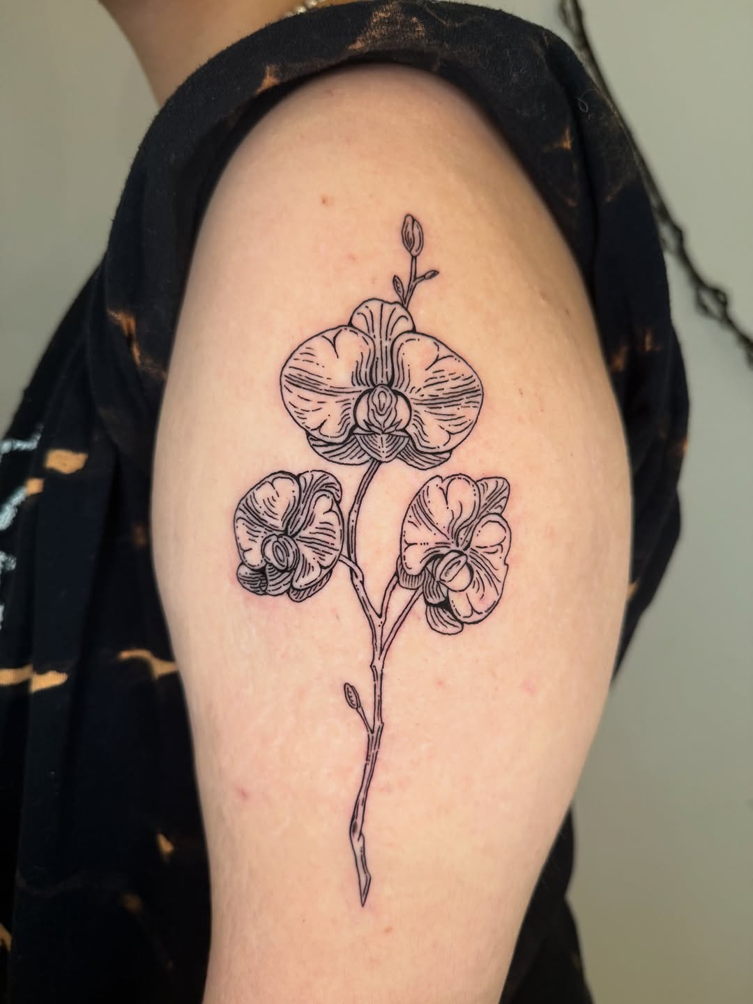 Tattoo by @fromfinlandwithluv โ fine_line, illustrative