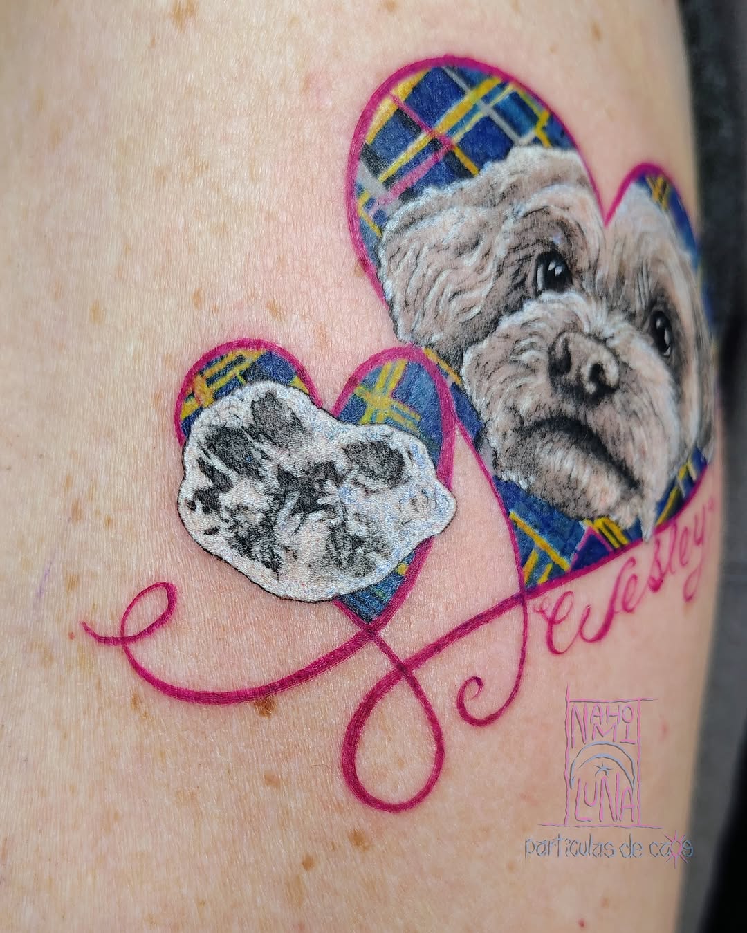 Tattoo by @particulasdecaos_ — realism, illustrative