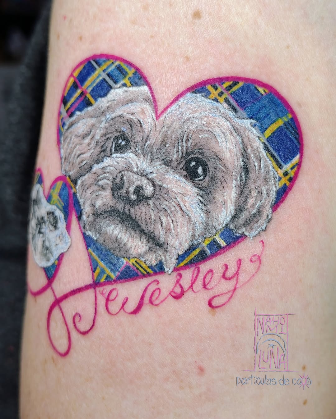 Tattoo by @particulasdecaos_ — realism, illustrative
