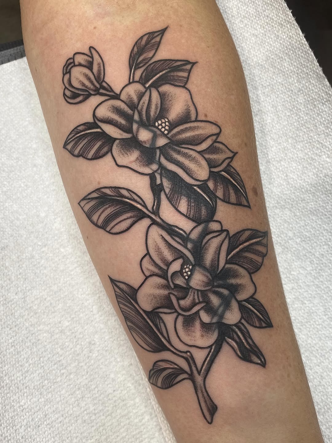 Tattoo by @kieratattoos — black_and_grey, illustrative