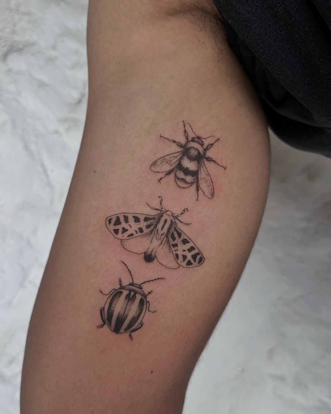 Tattoo by @ornatebones β fine_line