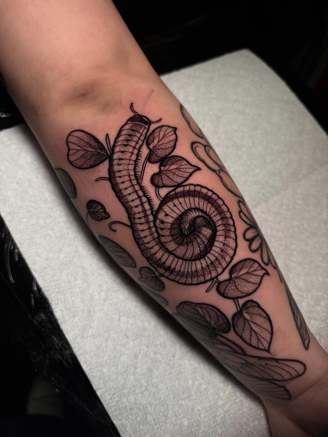 Tattoo by @cactihannah — dotwork