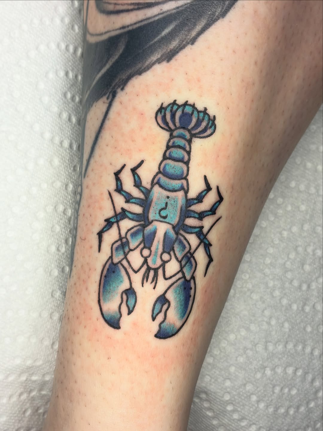 Tattoo by @shark_boy_tattoos — american_traditional