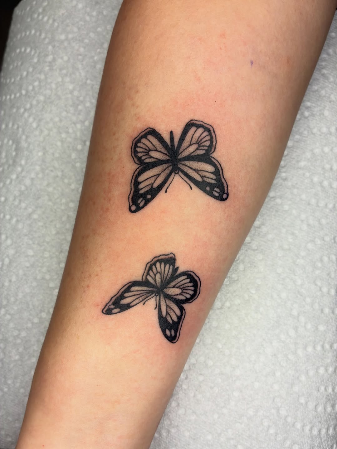 Tattoo by @shark_boy_tattoos โ fine_line, illustrative
