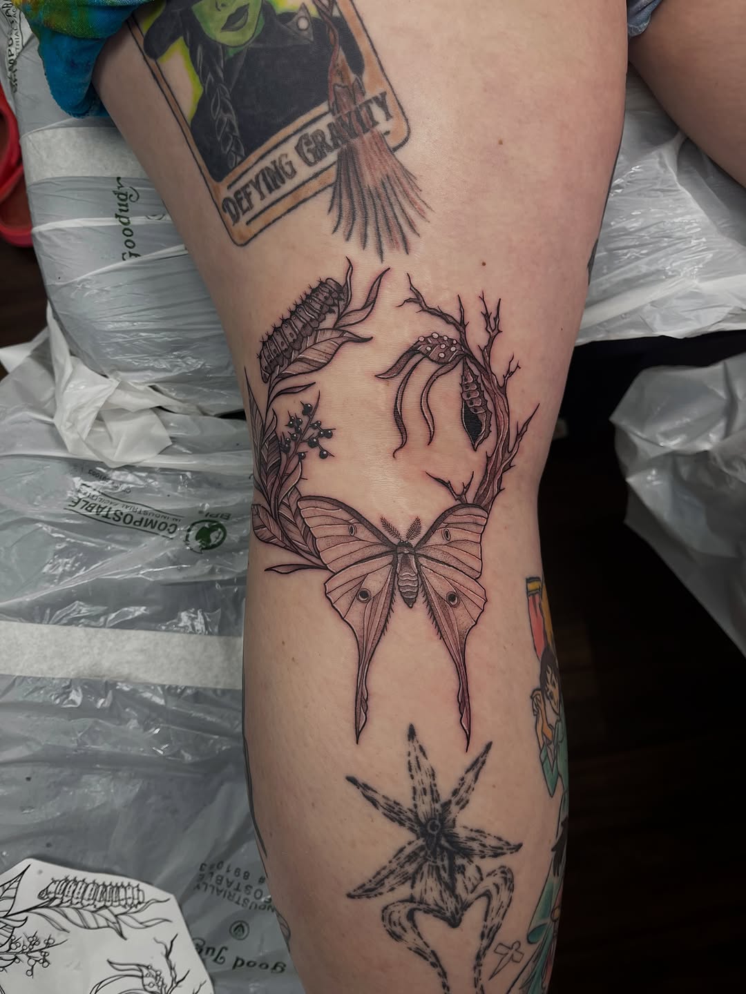 Tattoo by @autumnrosetattoos — fine_line, illustrative