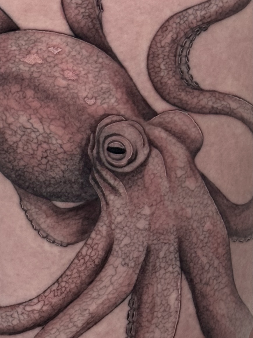 Tattoo by @brisiainks โ realism, black_and_grey