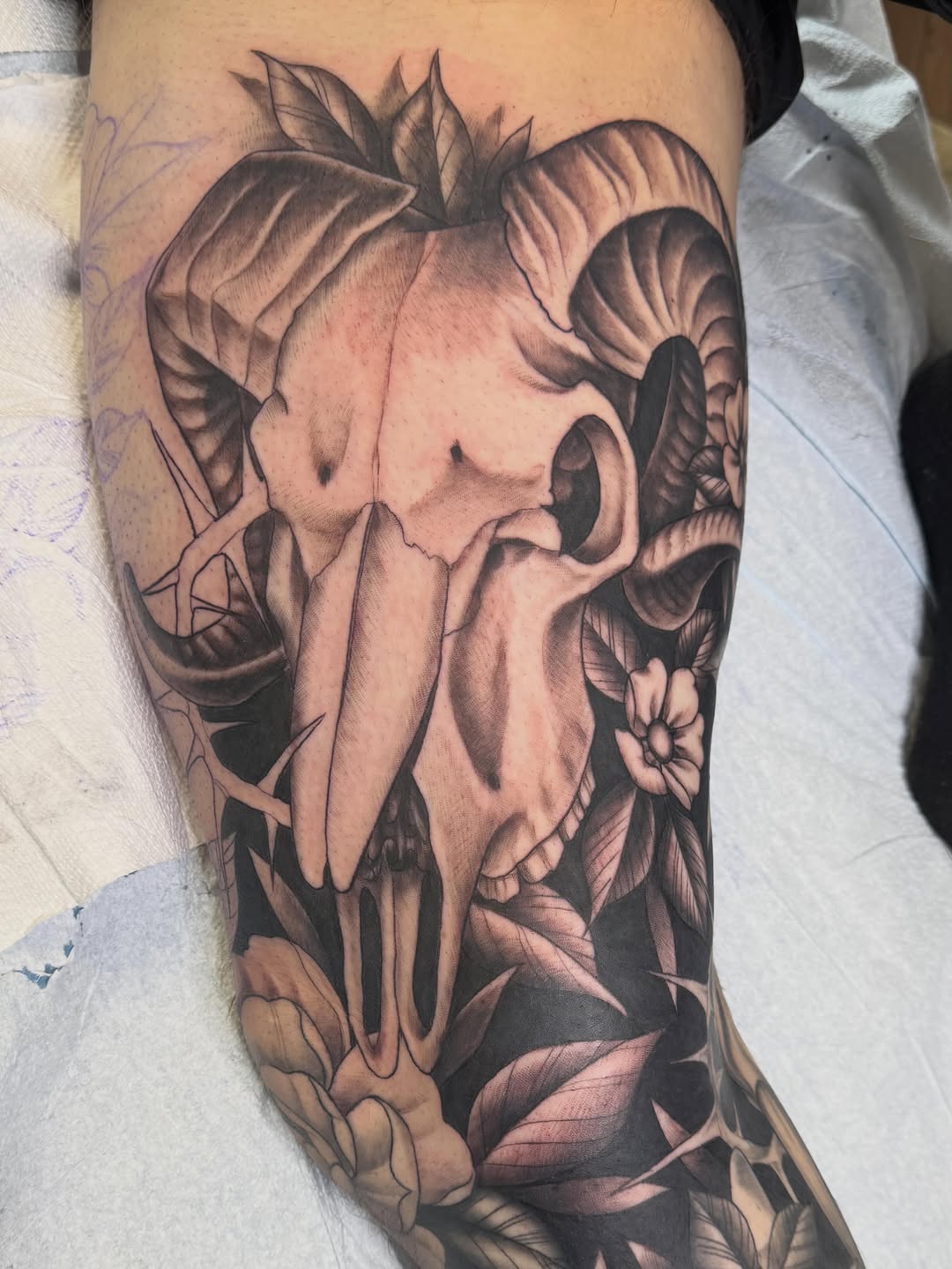 Tattoo by @tattoosbynikkipowills — realism, black_and_grey